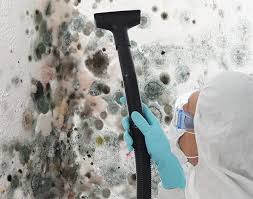 Biohazard Mold Removal in Rocky River, OH